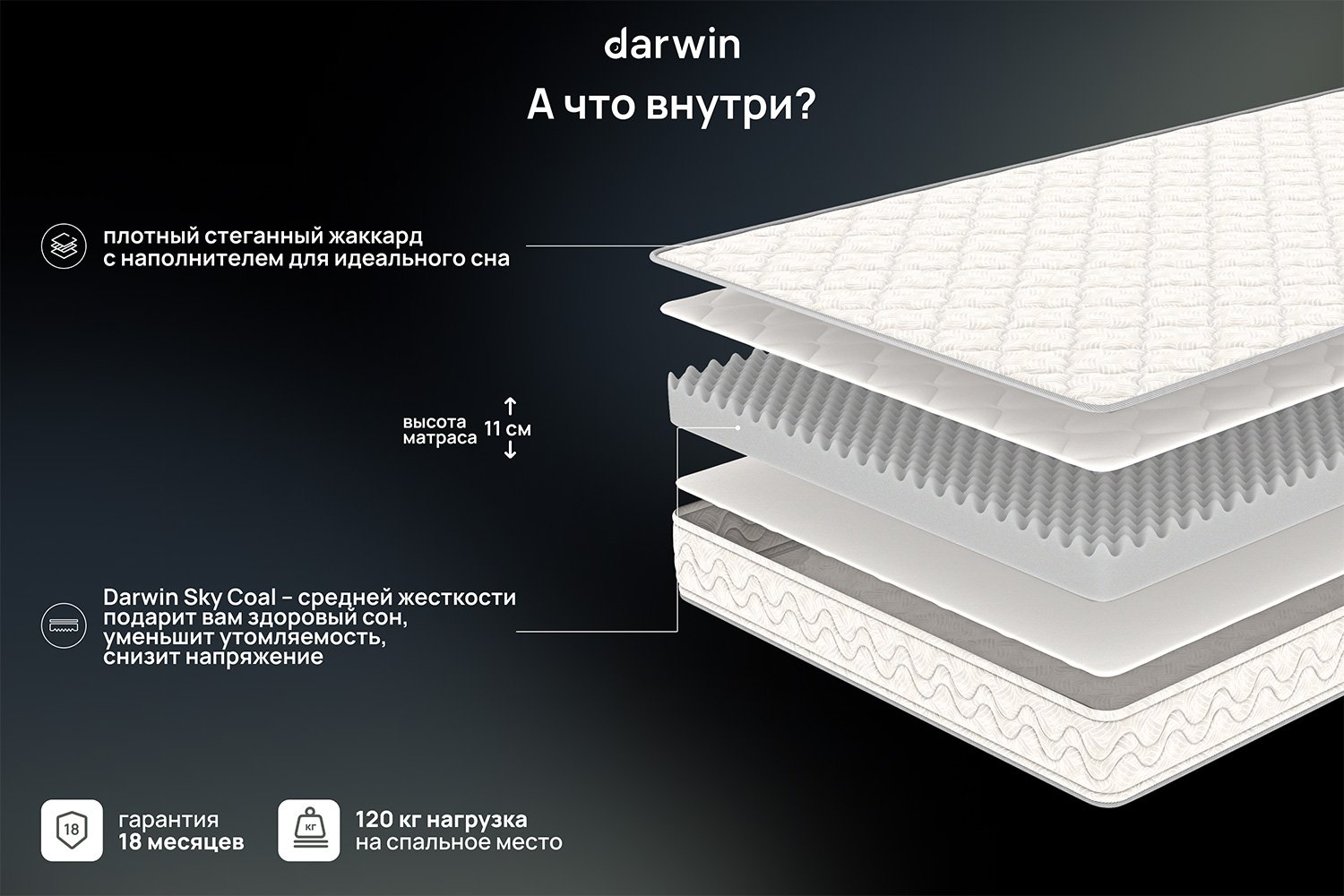 Матрас анатомический DARWIN Wave 80х190 см