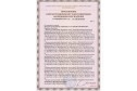 Матрас ортопедический HONNEMED Traum 140х190 см