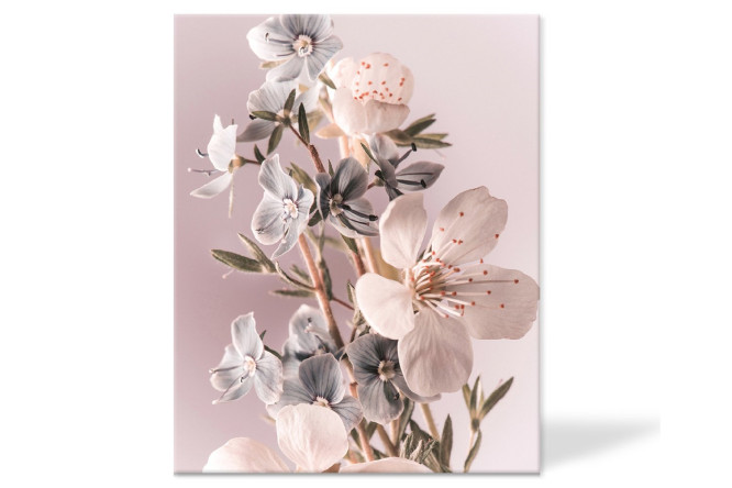 Изображение товара Канвас Idea 40х50 см на подрамнике для живописи и декора