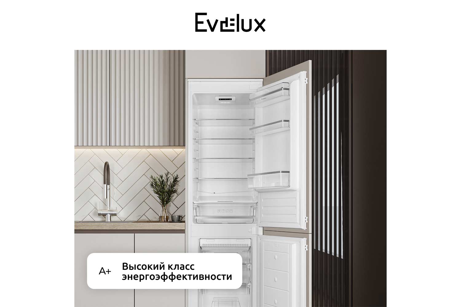 Холодильник EVELUX FI 2211 D 54х176.9х54.5 см