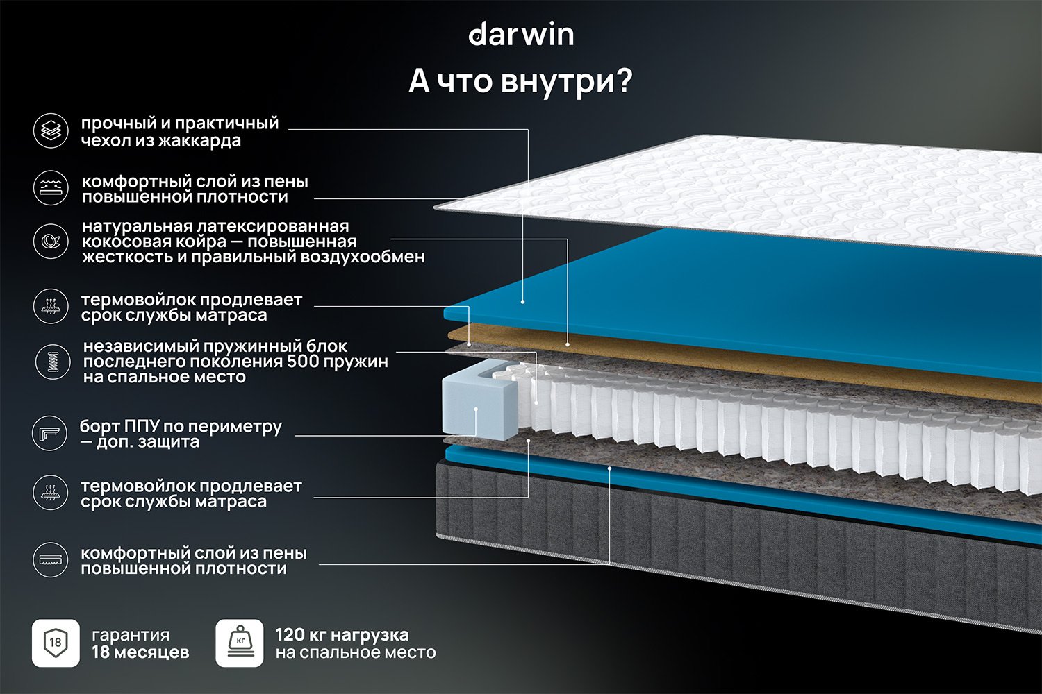 Матрас анатомический DARWIN Basic hard 80х200 см