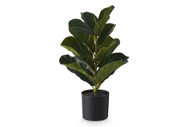 Изображение товара Искусственное растение Фикус в пластмассовом кашпо 31х31 см