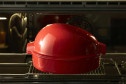 Форма Emile Henry 348444 для запекания птицы 22х22х41.5 см, 5 л