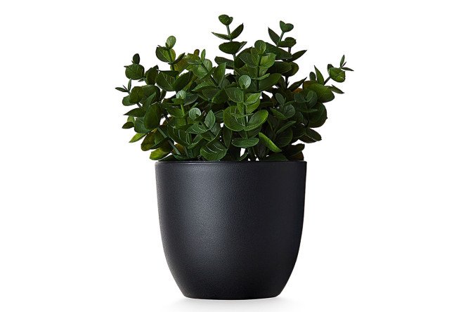 Изображение товара Искусственное растение эвкалипт в пластмассовом кашпо 18х18 см