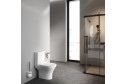 Унитаз-компакт AM.PM Sense FlashClean C748600SC с сиденьем микролифт 35х77х65 см