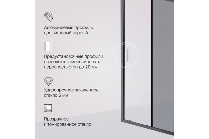 Дверь душевая в нишу AM.PM Gem W90G-100-1-195BG