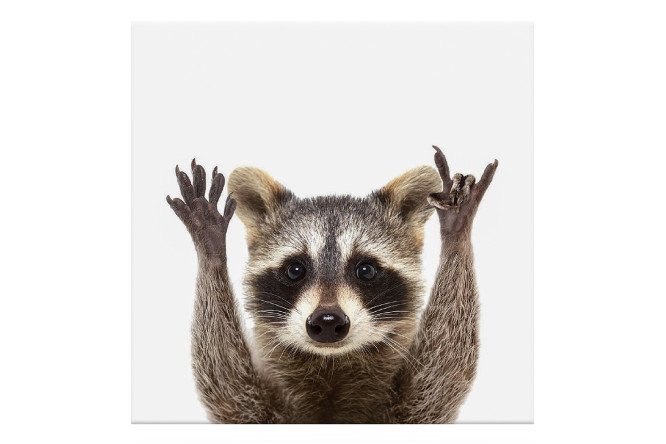 Изображение товара Канвас для живописи Idea 30х30 см из полиэстера холст