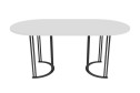 Стол GENGLASS Violur 180х75х90 см