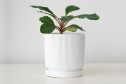 Горшок с блюдцем Mandarin decor Рельеф 18х19.7 см