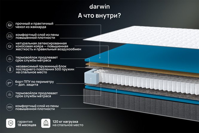 Матрас анатомический DARWIN Basic hard 200х200 см
