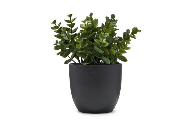 Изображение товара Искусственное растение эвкалипт 14х14 см для декора интерьера