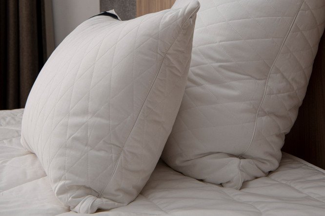 Подушка EDELSON Cotton 50х70 см, Полиэфирное волокно