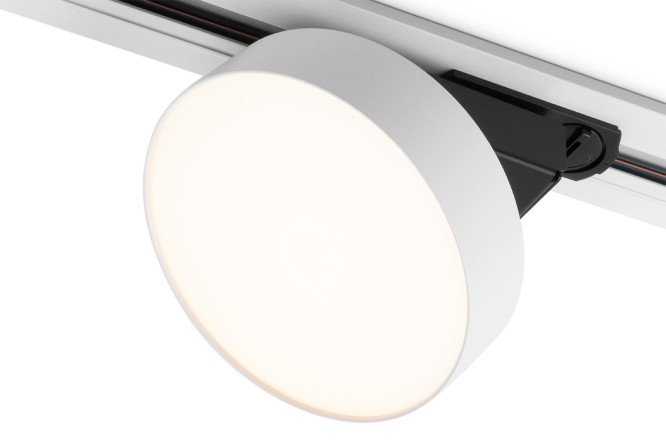 Изображение товара Светильник потолочный ELEKTROSTANDARD Pila