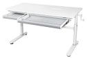 Комплект парта Iris Grey SS16 + стул FunDesk SST3 Grey