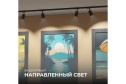 Светильник трековый APEYRON 16-72 однофазный под лампу