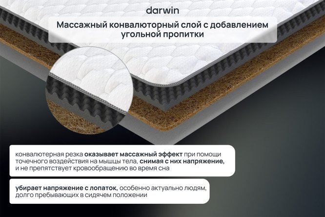 Матрас-топпер анатомический DARWIN Eco Ultra 80х190 см
