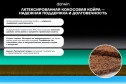 Матрас анатомический DARWIN Senses 80х190 см