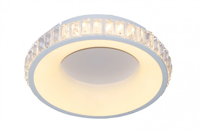 Светильник потолочный LED ESCADA 10214