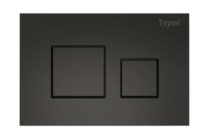 Изображение товара Клавиша с двойным смывом TEYMI Kati T70702BM для инсталляции