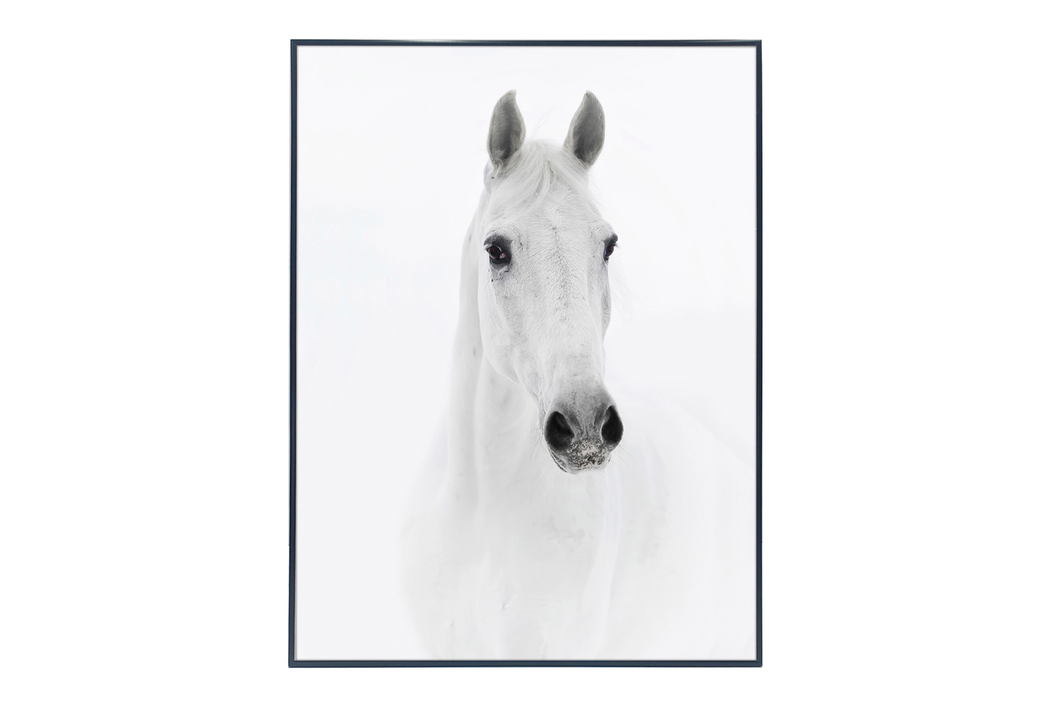 

Картина в раме Arabian, Arabian