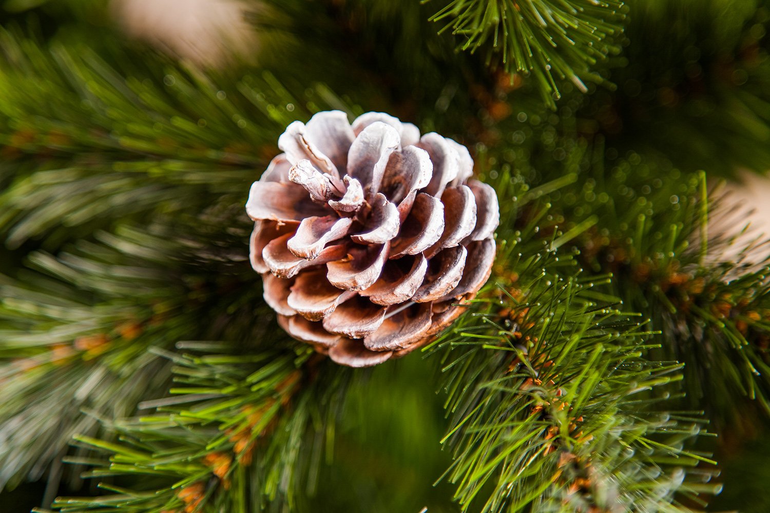 фото Искусственная ёлка с шишками ель женева заснеженная Triumph tree