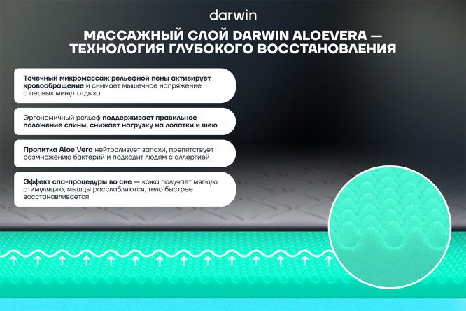 Матрас анатомический DARWIN Comfy 80х190 см