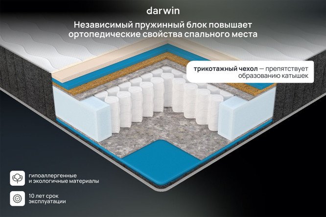 Матрас анатомический DARWIN Basic Elite 200х200 см