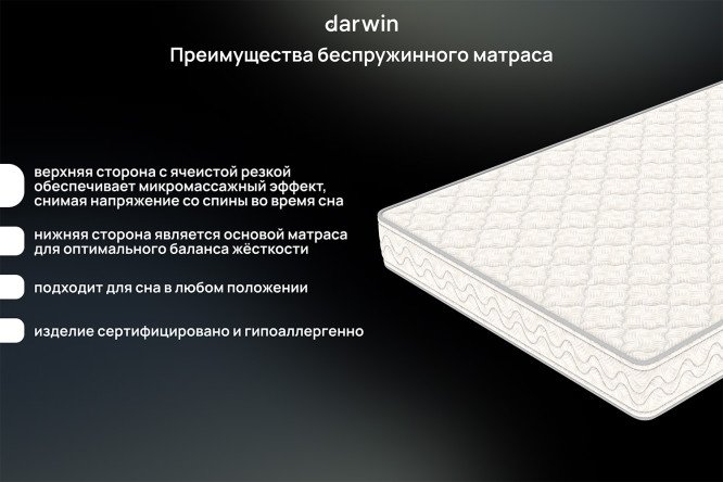 Матрас анатомический DARWIN Wave 120х190 см