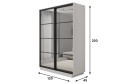 Шкаф-купе 2-дверный Slide-2 v.2 120х220х45 см, белый снег/чёрный профиль, с двумя зеркалами, с разделителями
