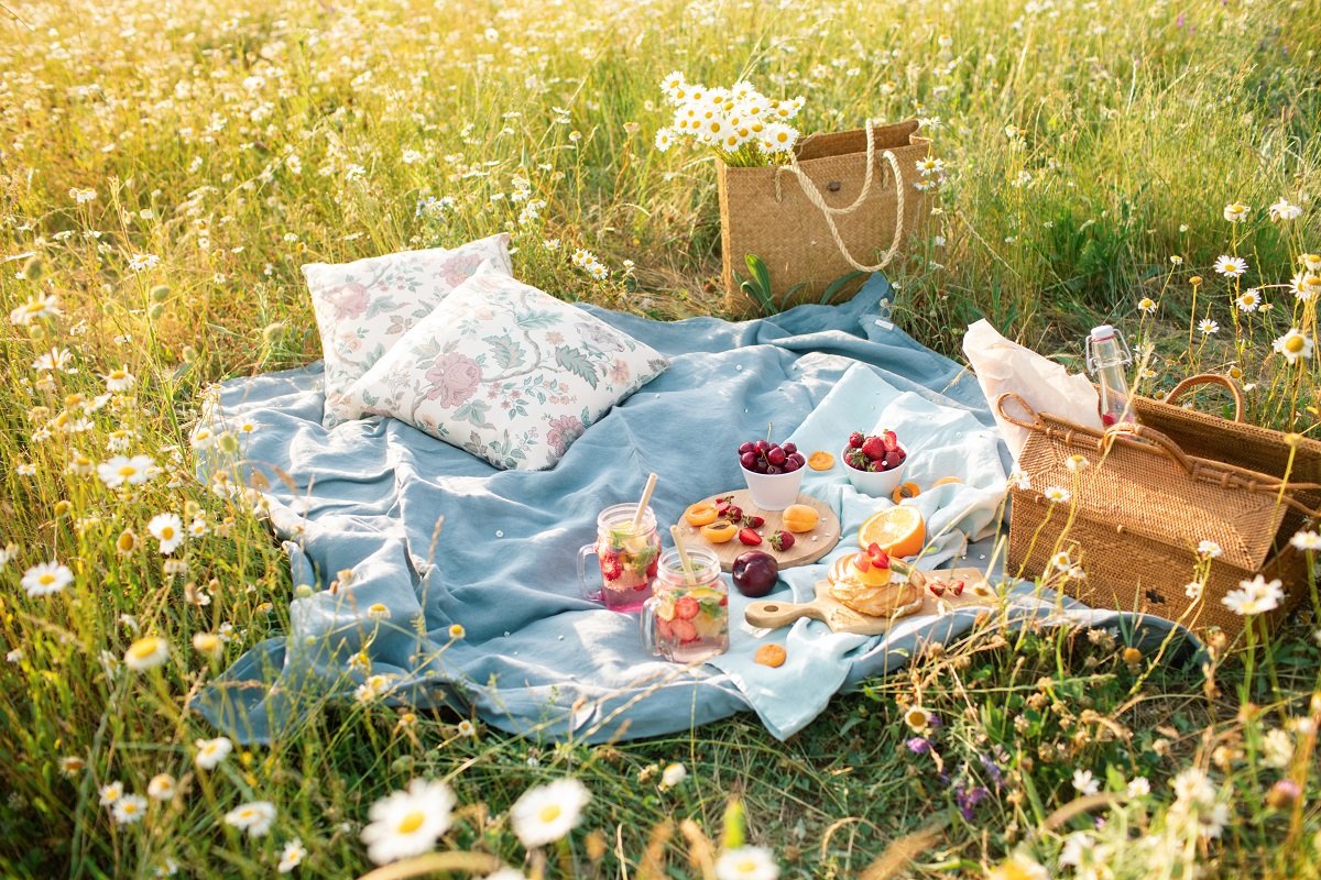 Природа поле пикник