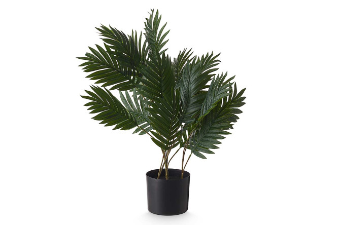 Изображение товара Искусственное растение Хризалидокарпус в пластмассовом кашпо 61х73 см