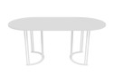 Стол GENGLASS Violur 180х75х90 см