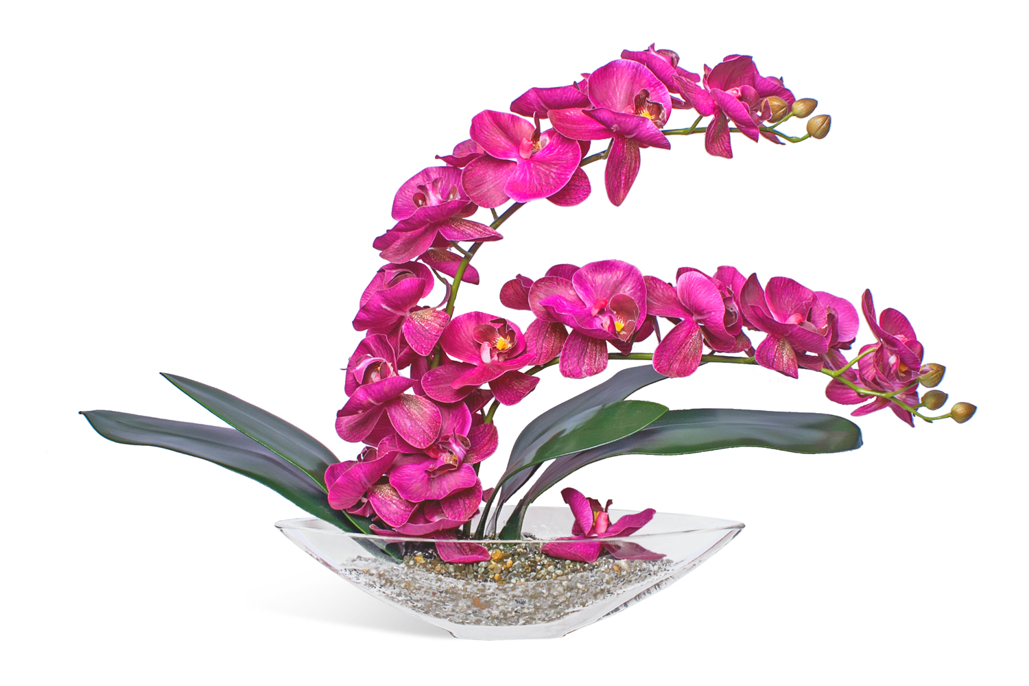 фото Искусственное растение в вазе-лодочке орхидея фаленопсис hoff