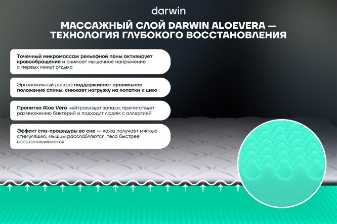 Матрас-топпер анатомический DARWIN Level 80х190 см