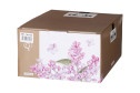 Чайный набор Lefard Lilac 2 перс., 4 предм., Фарфор
