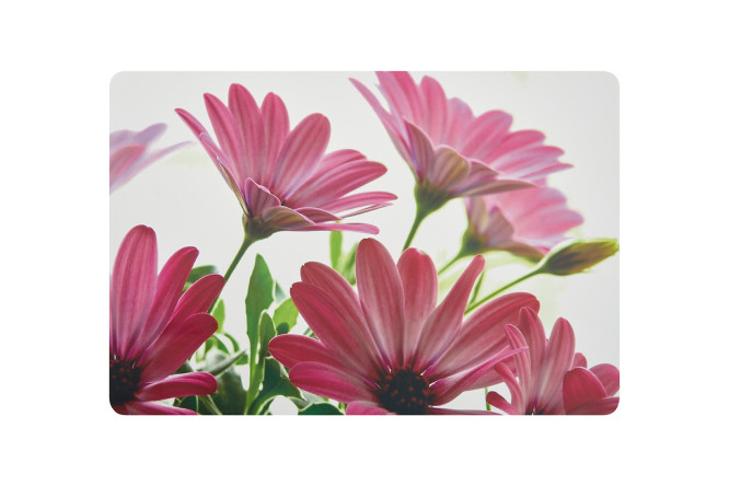 Изображение товара Салфетка на стол HOFF Flowers 43х0.1х29 см