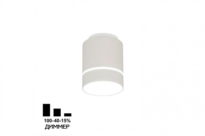 Светильник потолочный CITILUX Борн 3.5 кв.м, 10x11x10 см, LED
