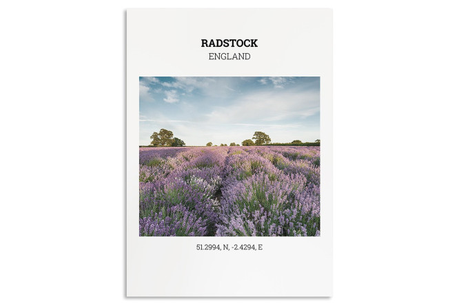 Изображение товара Постер на подложке Лаванда 50х70 см