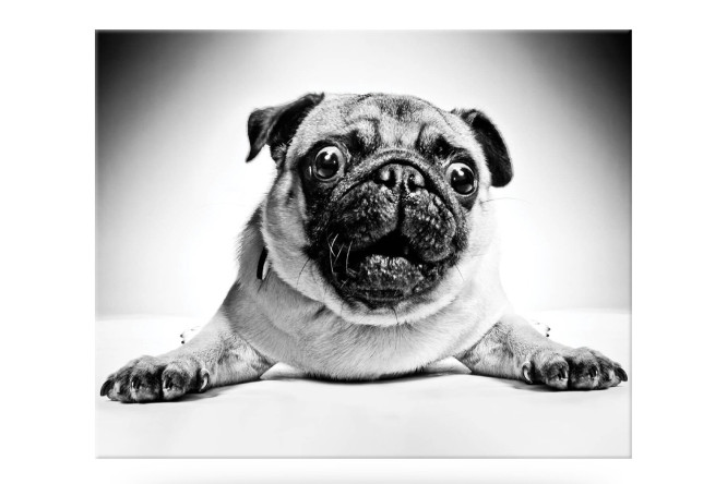 Изображение товара Канвас Idea 50х40 см холст из полиэстера с деревянным подрамником