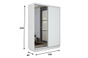 Шкаф-купе 2-дверный Slide-2 v.2 120х220х45 см, белый снег/серебро, с одним зеркалом