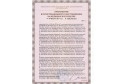 Матрас ортопедический HONNEMED Traum L 80х200 см, Средняя