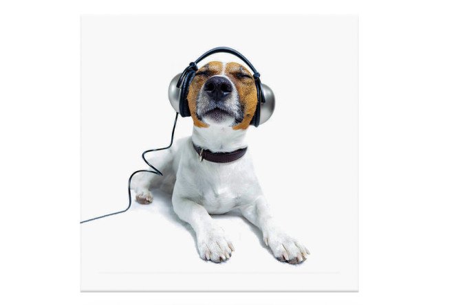 Изображение товара Канвас Idea 30х30 см для живописи и творчества