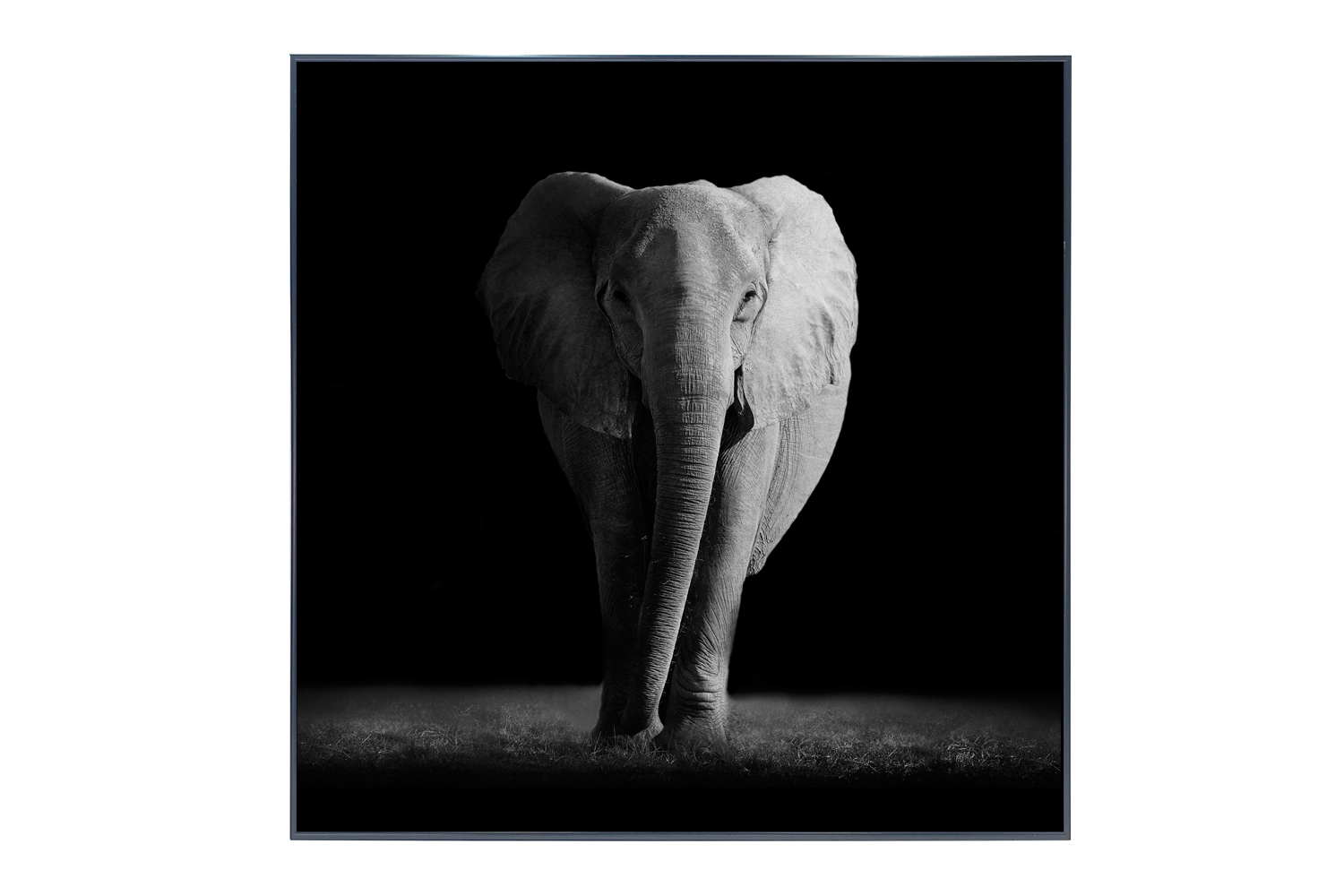 

Картина в раме Elephant, Elephant