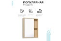 Шкаф зеркальный навесной RUNO Эко 52 УТ000001833, лиственница 52х65х12 см, Универсальный