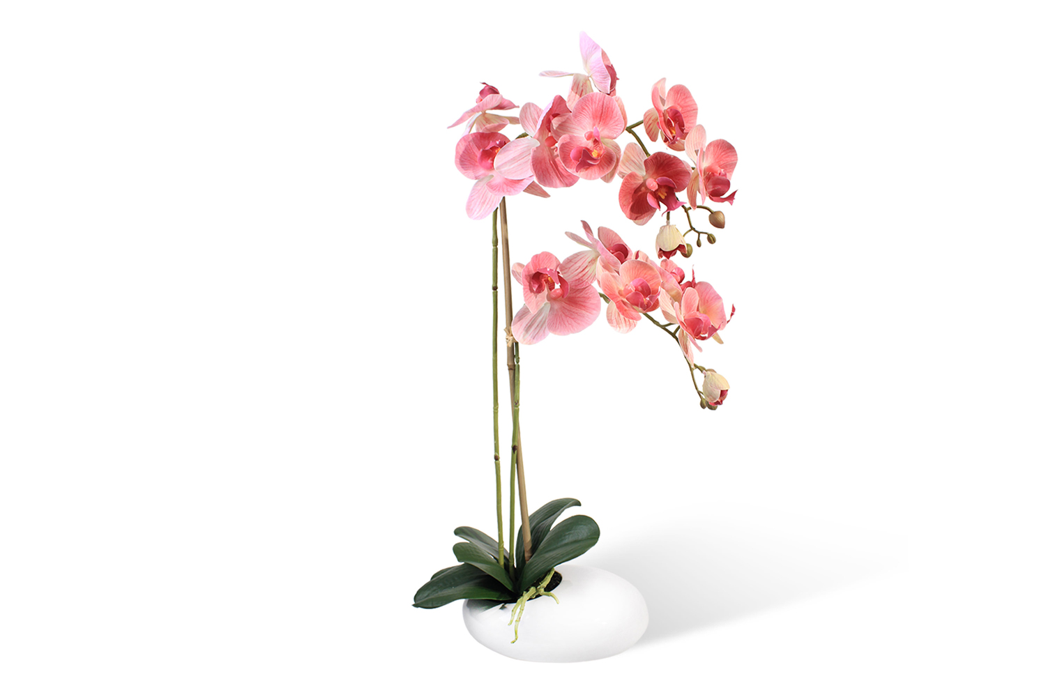 фото Искусственное растение в кашпо камень орхидея фаленопсис hoff