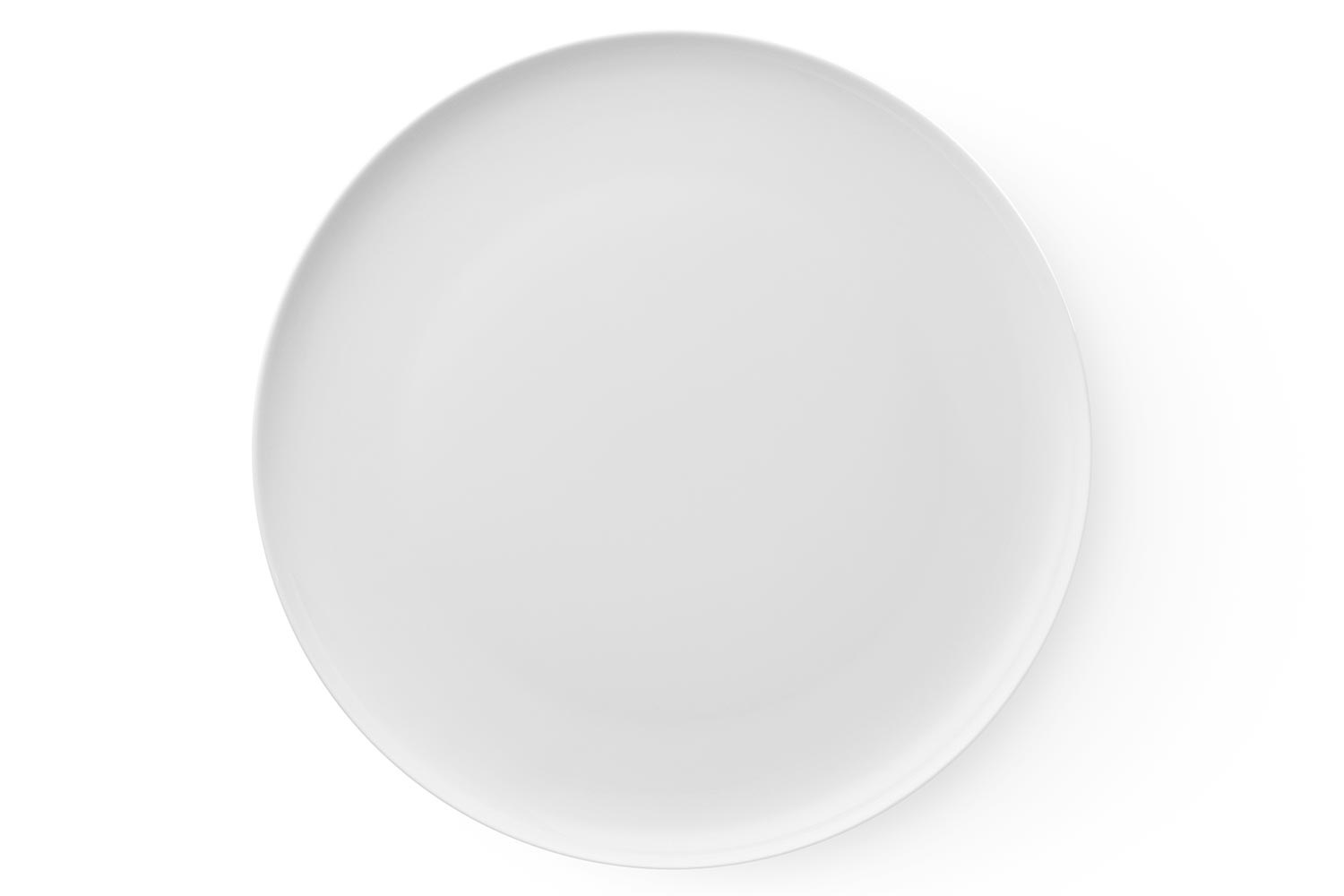 Тарелка обеденная EVIO Simple
