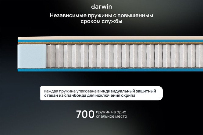 Матрас анатомический DARWIN Basic Elite 200х200 см