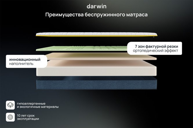 Матрас анатомический DARWIN Zone foam 200х200 см
