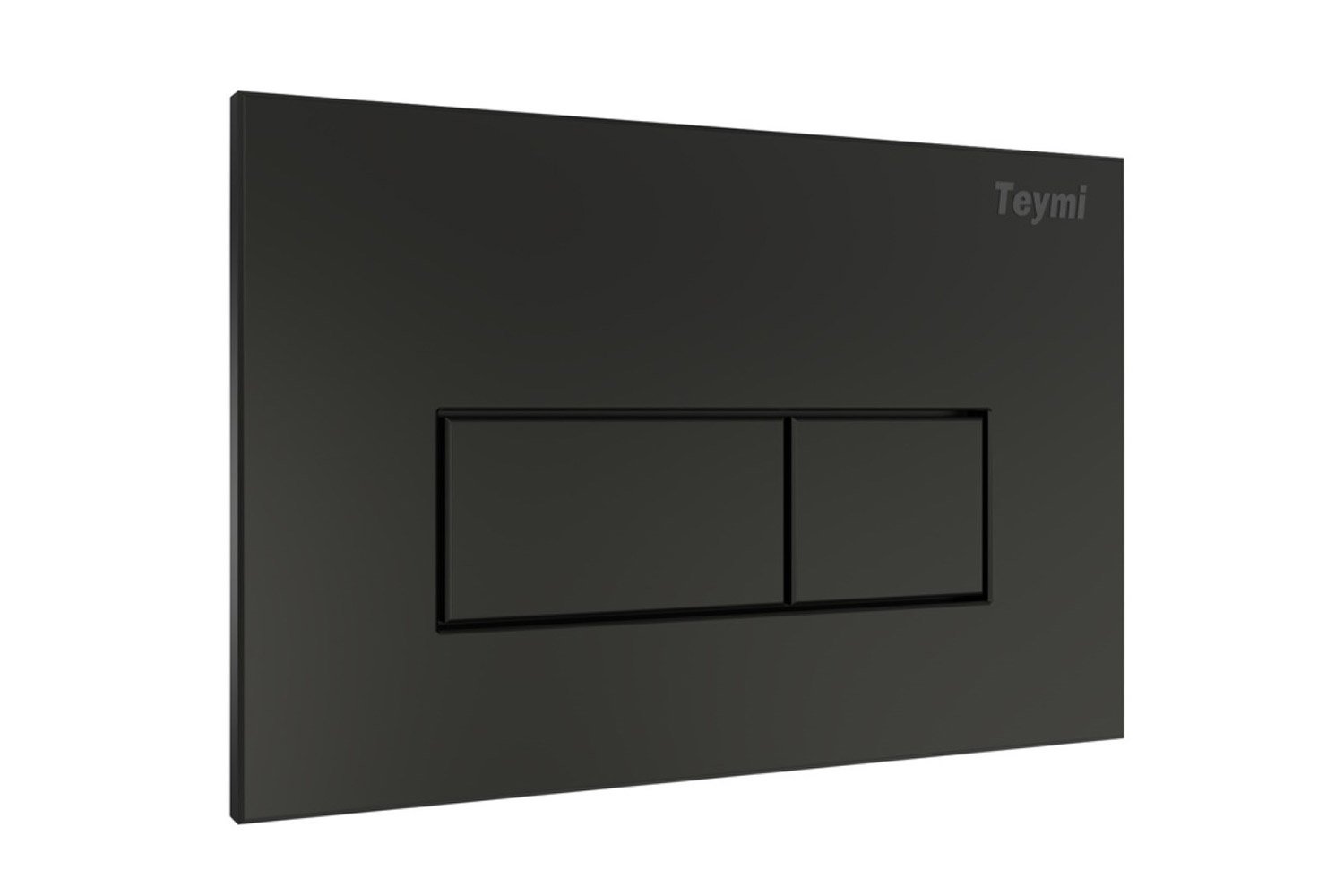 Клавиша с двойным смывом TEYMI Helmi T70203BM для инсталляции