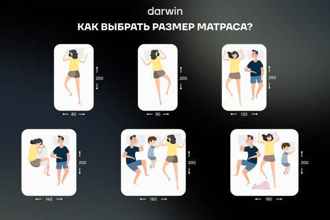 Фото 10 Матрас анатомический DARWIN Comfy 90х200 см